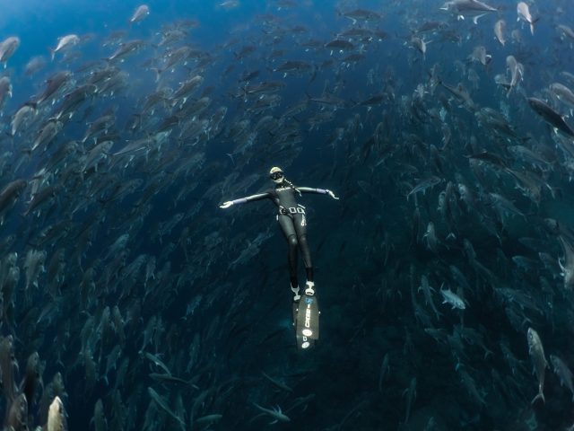 Free_Diving_Galapagos_By_Nery_Ocean_2019_OR-32 Free_Diving_Galapagos_By_Nery_Ocean_2019_OR-32